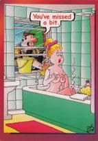 Window Cleaner Peeping Tom Sexy Lady In Bath Comic Postcard