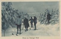 Winter Im Thuringer Wald Switzerland Old Skiing Postcard
