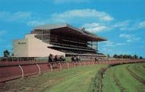 Woodbine Horse Race Track Stadium Toronto Canada Postcard