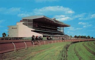 Woodbine Horse Race Track Stadium Toronto Canada Postcard