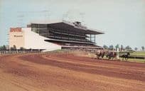 Woodbine Horse Race Track Toronto Canada 1970s Postcard
