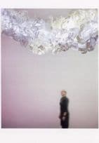 Yu Jordy Fu Female Chinese China Architect Glass Ice Design Postcard