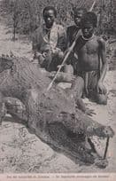 Zambia Native Tribe Crocodile Animal Hunting Old African Postcard
