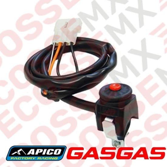 Apico Factory Racing