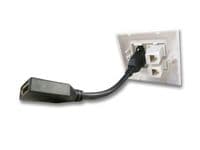 DisplayPort and Twin Ethernet Network Wall Plate - Easy Connect | Cables 4 ALL