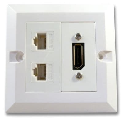 DisplayPort and Twin Ethernet Network Wall Plate - Easy Connect