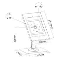 IPad 10.2 / 10.5 Anti-Theft Desk Stand | Cables 4 ALL