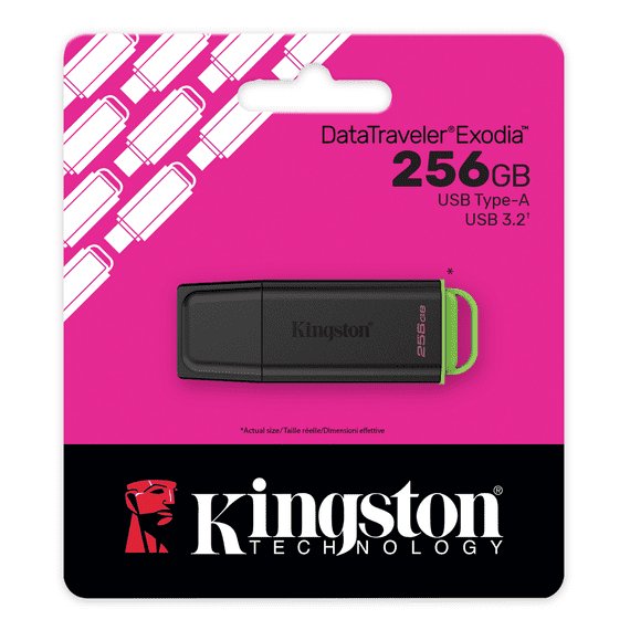 Kingston  256GB USB 3.2 Flash Drive - DataTraveller Exodia | Cables 4 ALL