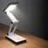 Portable USB & Battery LED Desk Light | Adjustable Compact Reading Lamp
