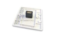 Single USB Wall Plate - Plug and Play - USB Type A | Cables4all