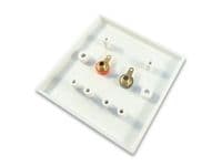 Speaker Cable Wall Plate 2 x 4mm Banana Plug Faceplate