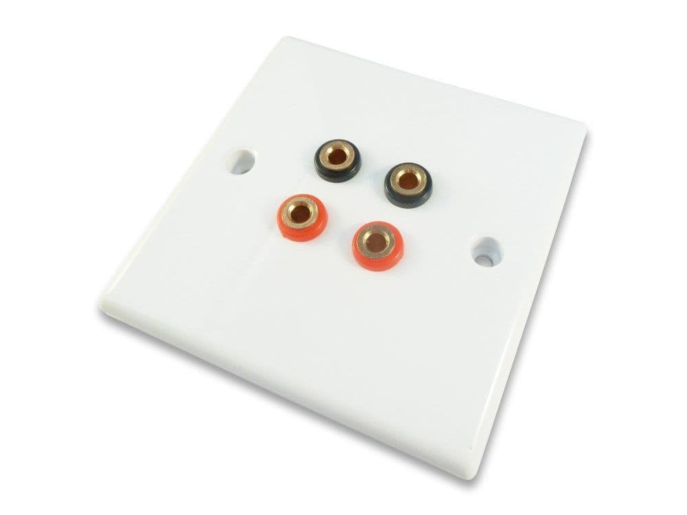 Speaker Cable Wall Plate Fits 4mm Banana Plugs