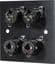 Twin 6.35mm Jack Wall Plate – Black Metal Audio Faceplate | Cables 4 ALL
