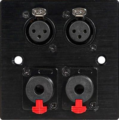 Twin 6.35mm Jack  / Twin XLR  Wall Plate - Black Metal Faceplate