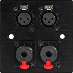 Twin 6.35mm Jack Wall Plate – Black Metal Audio Faceplate | Cables 4 ALL