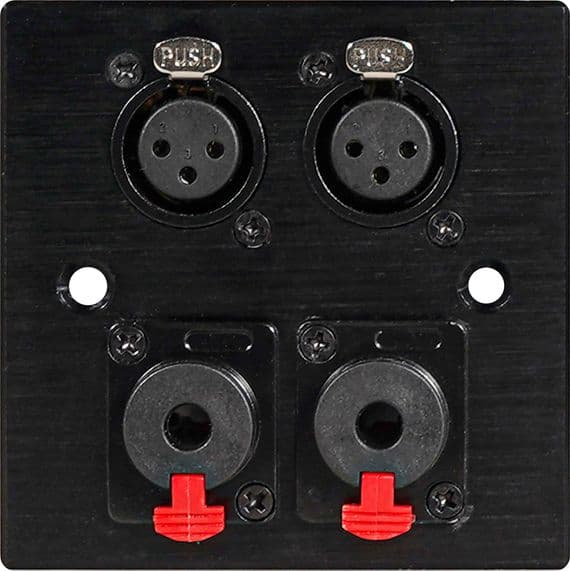 Twin 6.35mm Jack Wall Plate – Black Metal Audio Faceplate | Cables 4 ALL