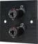 Twin 6.35mm Jack Wall Plate – Black Metal Audio Faceplate | Cables 4 ALL