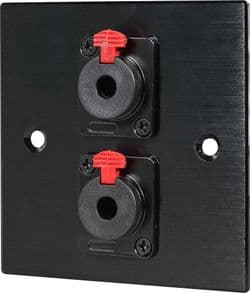 Twin 6.35mm Jack Wall Plate – Black Metal Audio Faceplate | Cables 4 ALL