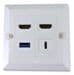 Twin HDMI and USB Wall Plate - USB Type C / USB 3.0  (4k Compatible)