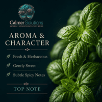 Calmer Solutions Basil Essential Oil | 100% Pure & Natural | Aromatherapy & Well-Being