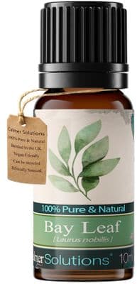 Calmer Solutions Bay Leaf Essential Oil | 100% Pure & Natural | Aromatherapy & Wellness