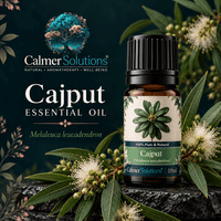 Calmer Solutions Cajput (Cajeput) Essential Oil  | 100% Pure & Natural | Aromatherapy & Wellness