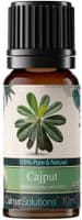 Calmer Solutions Cajput (Cajeput) Essential Oil  | 100% Pure & Natural | Aromatherapy & Wellness