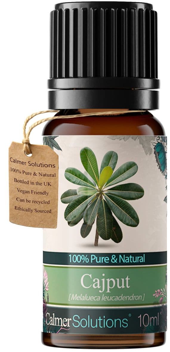 Calmer Solutions Cajput (Cajeput) Essential Oil  | 100% Pure & Natural | Aromatherapy & Wellness