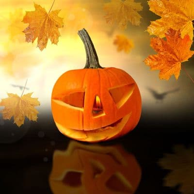 Calmer Solutions Halloween Blend