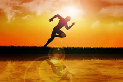 Calmer Solutions Muscle Rub Massage Oil