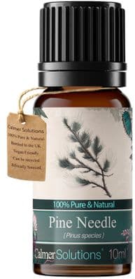 Calmer Solutions Pine Needle Essential Oil  | 100% Pure & Natural | Aromatherapy & Wellness