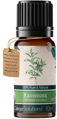 Calmer Solutions Ravensara Essential Oil  | 100% Pure & Natural | Aromatherapy & Wellness