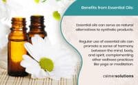 Calmer Solutions Rosemary Essential Oil  | 100% Pure & Natural | Aromatherapy & Wellness