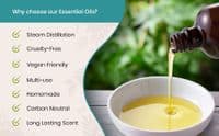 Calmer Solutions Rosemary Essential Oil  | 100% Pure & Natural | Aromatherapy & Wellness