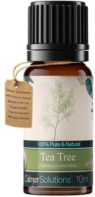 Calmer Solutions Tea Tree Essential Oil  | 100% Pure & Natural | Aromatherapy & Wellness