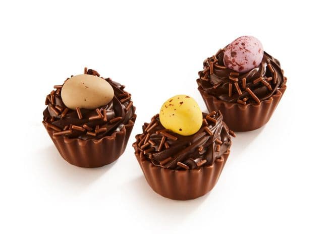 Birdsnest Cupcake Chocolate