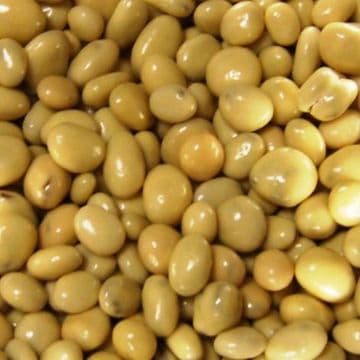 Caramel Raisins 100g