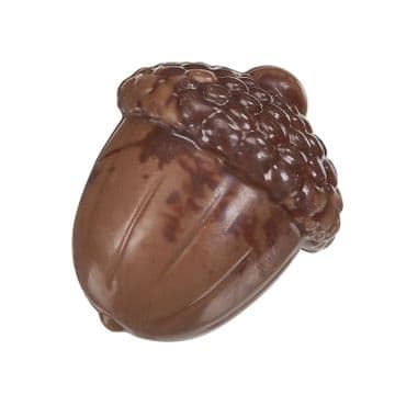 Milk Chocolate Acorn Chocolate