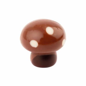 Milk Chocolate Mushroom Chocolate