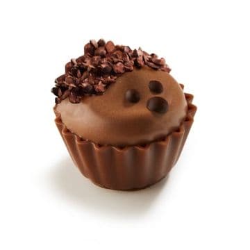 Mousse Au Chocolate Hedgehog Cupcake Chocolate