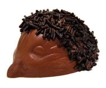 Solid Chocolate Hedgehog