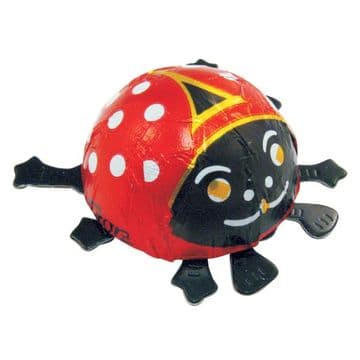 Storz Mini Ladybird
