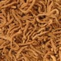 tobacco stalks tobacco stalks tobacco stalks tobacco stalks
