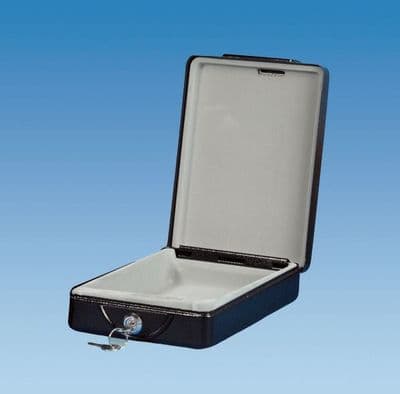 Carasafe SACA Travel Safe