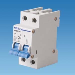 L62 15amp Double Pole MCB
