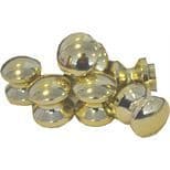 Small Polished Brass Knob (1)