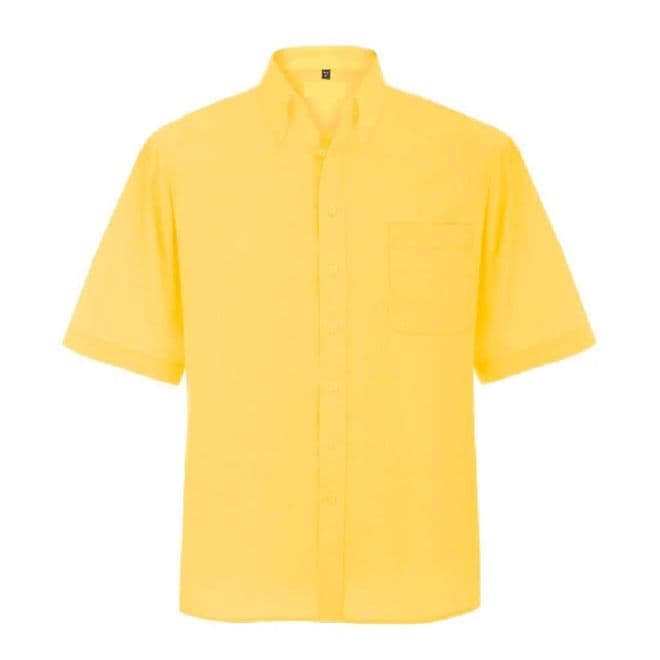 Beehive PS  Boys Short Sleeve Shirts (Twin Pack)