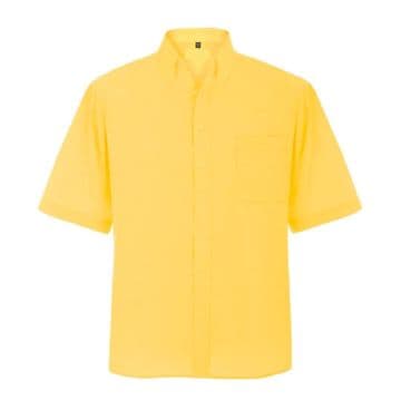 Beehive PS Boys Short Sleeve Shirts (Twin Pack)