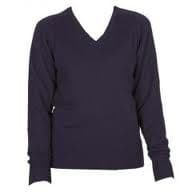 Navy Cotton V-Neck Jumper (Boys)