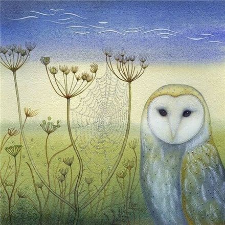 Barn Owl & Spider's Web - Fine Art Blank Greeting